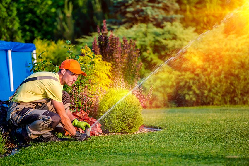 Sprinkler for irrigation: creating a favorable microclimate for plants