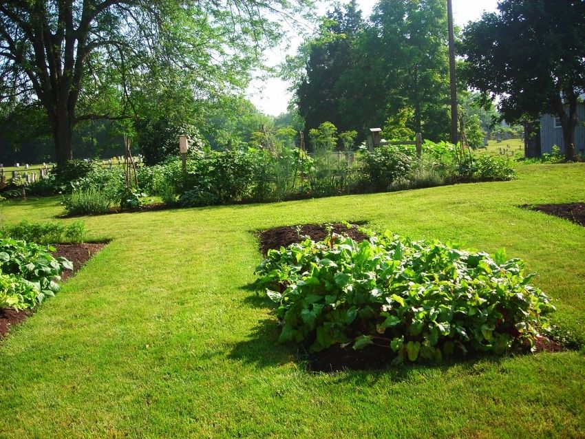 Gardens for the lazy: photos and recommendations for creating a garden