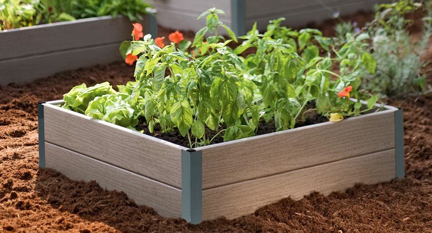 Plastic planted beds: product classification and their features