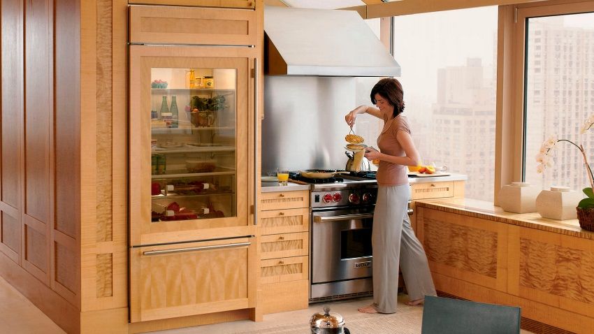 Refrigerator with a transparent door: a stylish unit in the modern kitchen