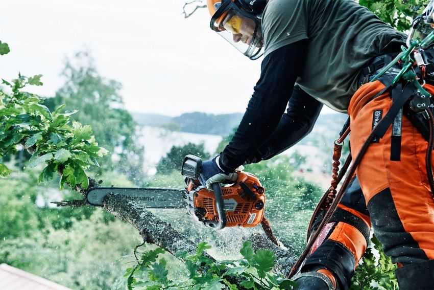 What brand of chainsaw to choose: a review of the best modern models