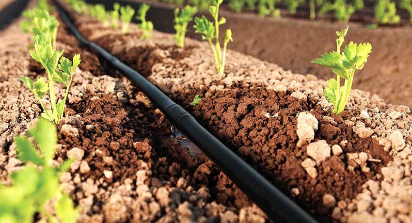 Drip irrigation do-it-yourself for giving without costs: do it yourself easily and simply