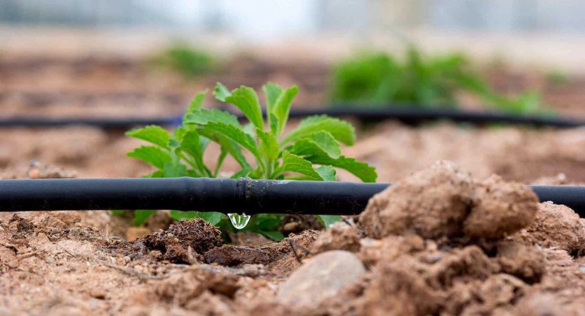 Drip irrigation do-it-yourself for giving without costs: do it yourself easily and simply
