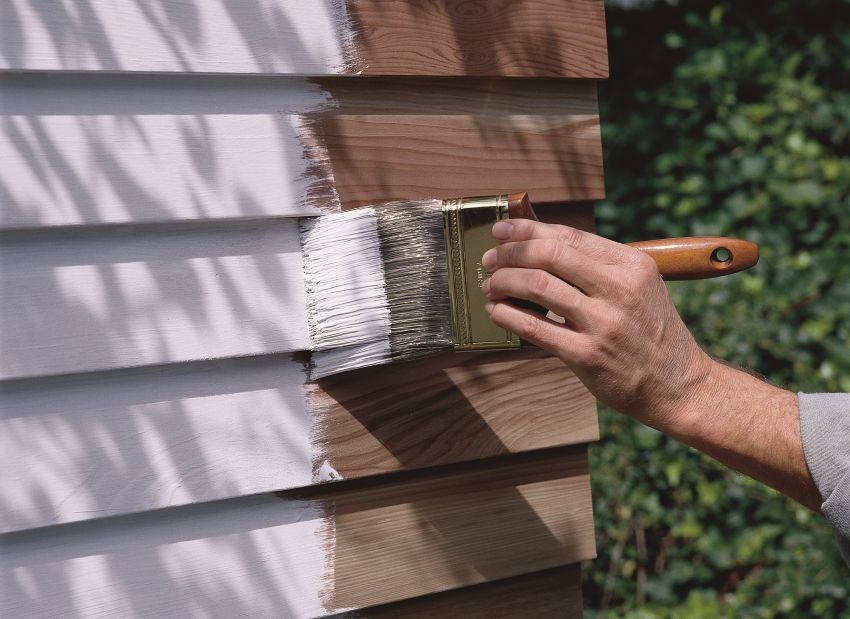 Wood exterior paint: a quick overview of dyes