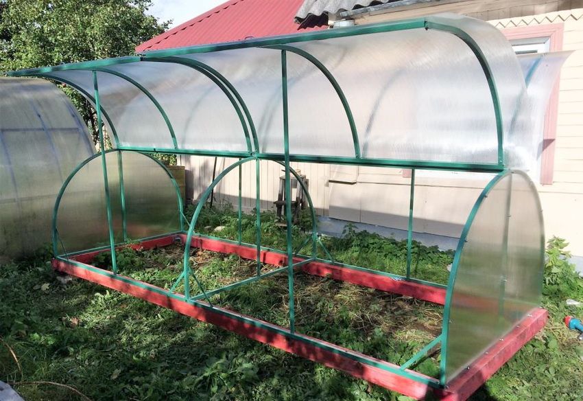 Greenhouse Butterfly: features self-assembled designs