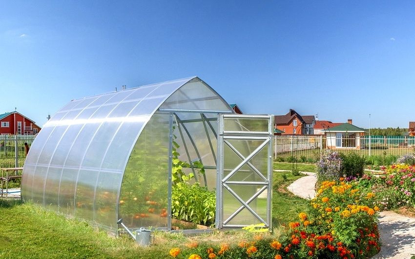 Greenhouse for cucumbers with their own hands: photos of the best solutions for the dacha