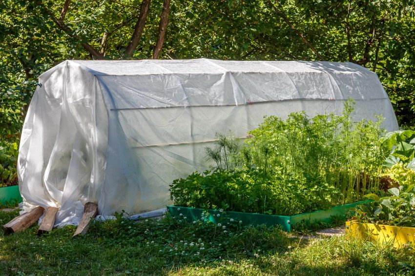 Greenhouse for cucumbers with their own hands: photos of the best solutions for the dacha