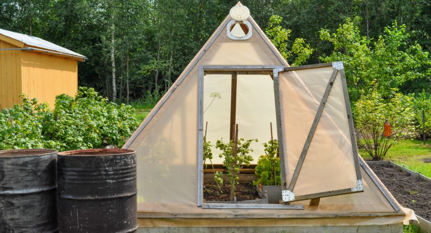 Greenhouse from scrap materials do it yourself: the best ideas