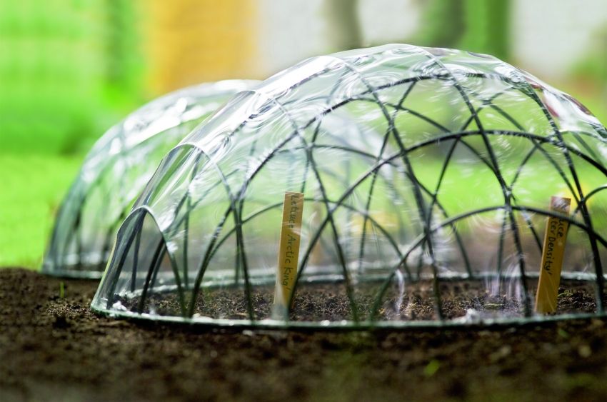 Greenhouse from scrap materials do it yourself: the best ideas