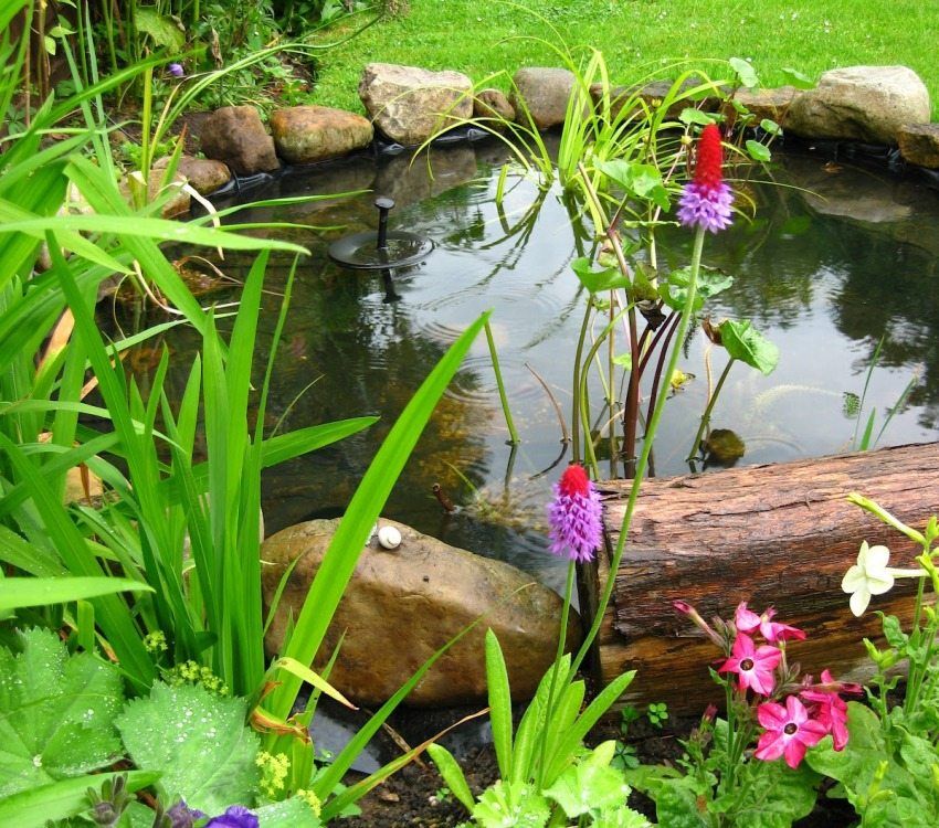 Pond in the country with their own hands. Step by step photo instruction