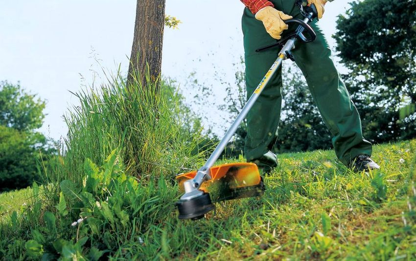 Rating of the best models of petrol trimmer: reviews, which option to choose