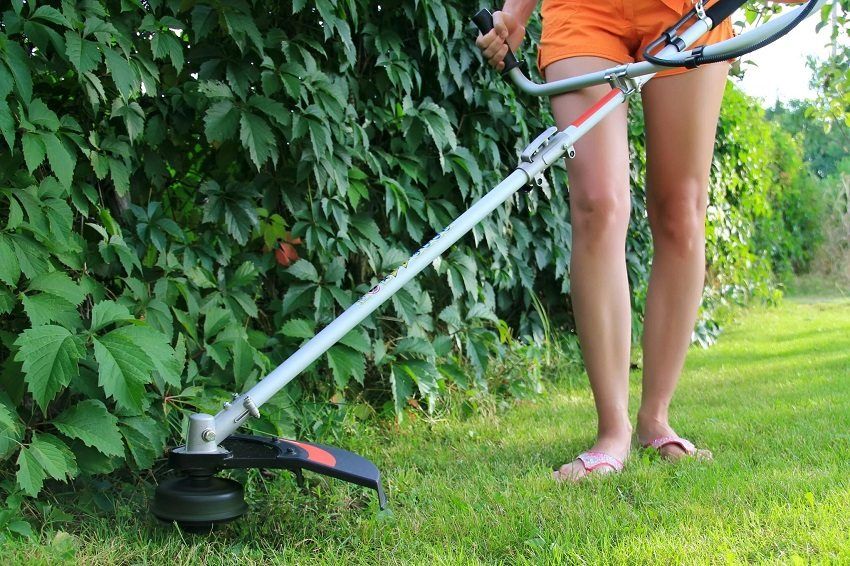 Rating of the best models of electric grass trimmers