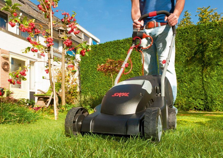 Rating of the best models of electric lawn mowers