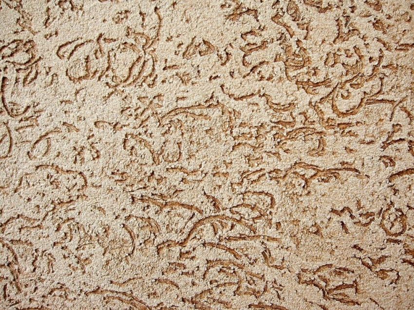 Technology of applying bark beetle plaster: features and stages of work
