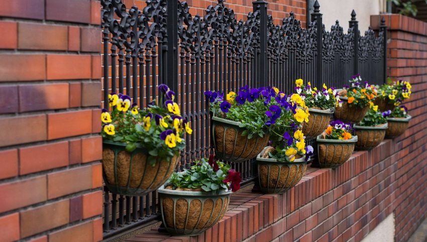 Fences and fences for the house. Photo collection of brilliant ideas