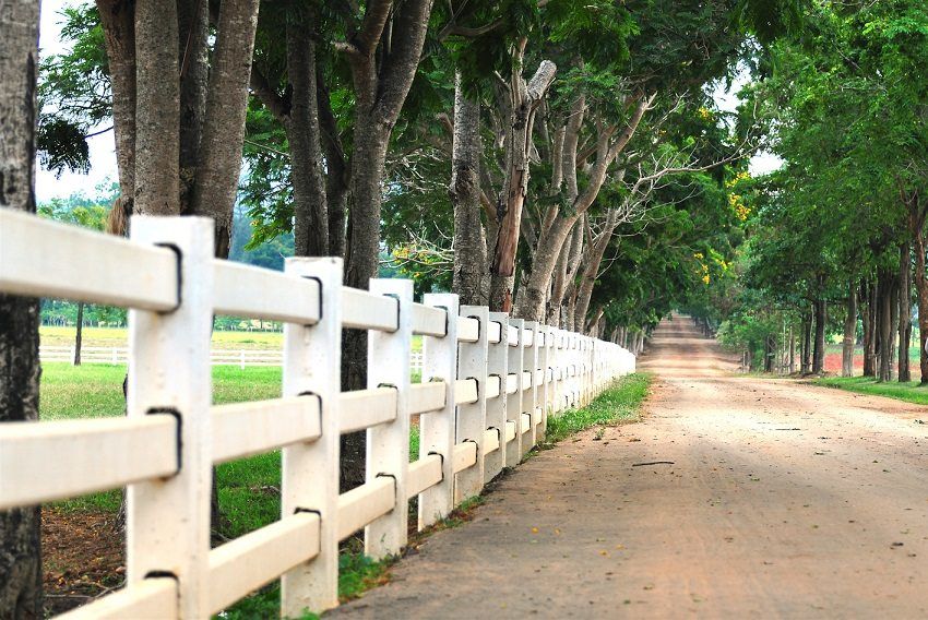 Wooden fences: photo designs in a modern version