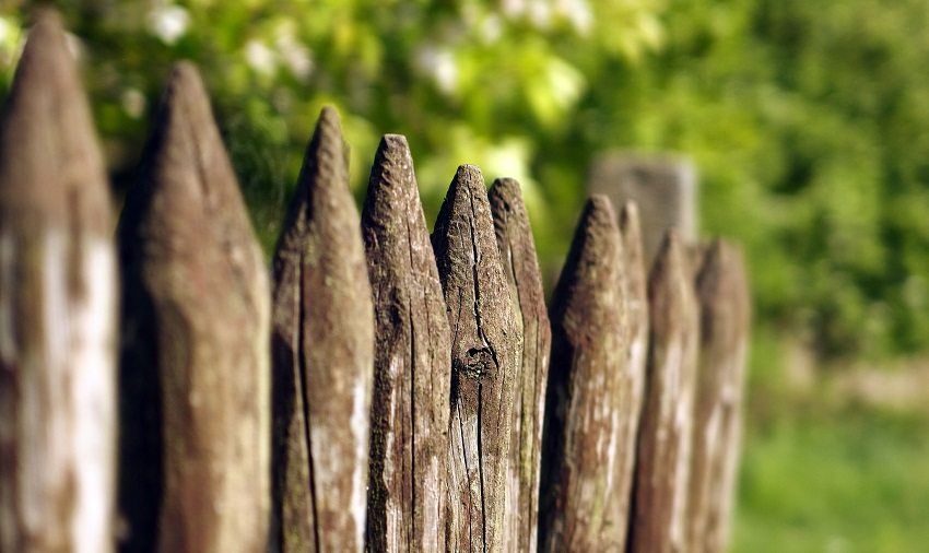 Wooden fences: photo designs in a modern version