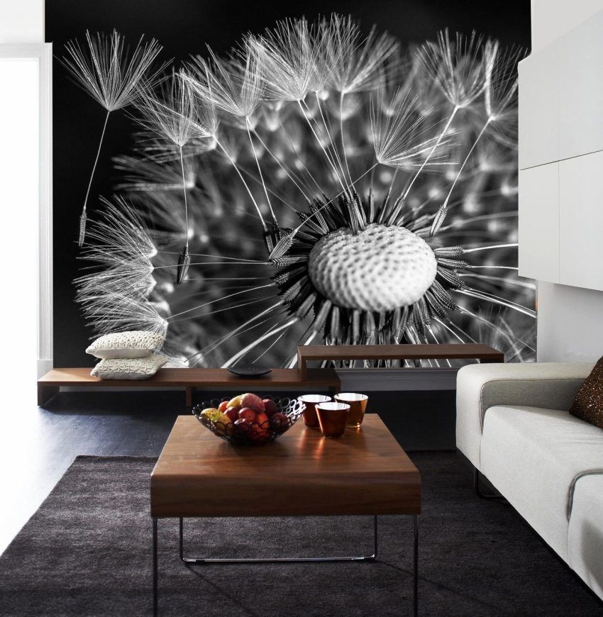 3D photo wallpapers for walls: photo-catalog of interiors, design techniques in design
