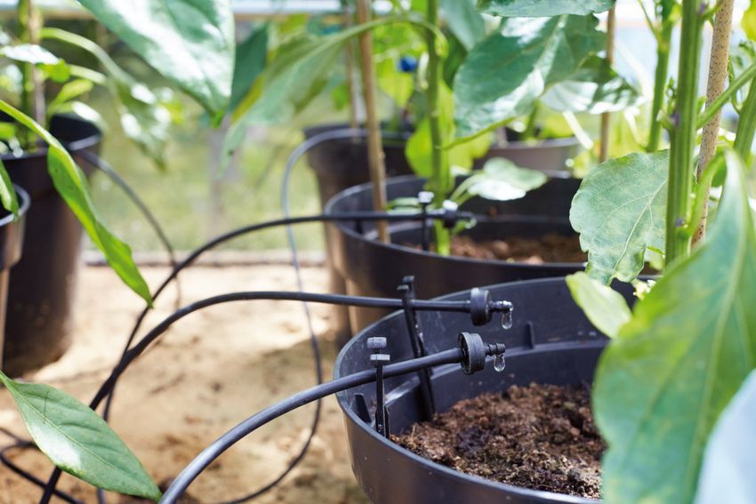 Do-it-yourself auto-pouring: how to install and use the irrigation system at the site