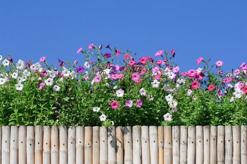 Decorative fence for gardening: creative design of flowerbeds and platforms