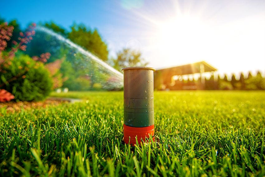 Sprinkler for irrigation: creating a favorable microclimate for plants