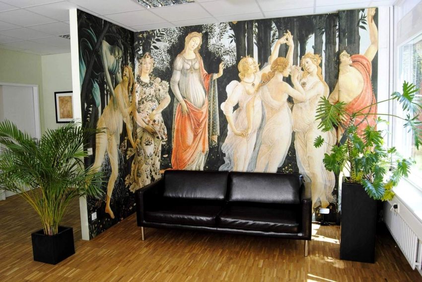 Wall murals: photos, prices, catalog of interesting design ideas