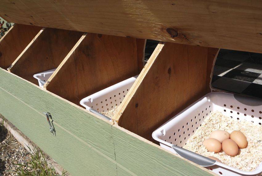 Nest for laying hens with their own hands: photos, sizes, tips