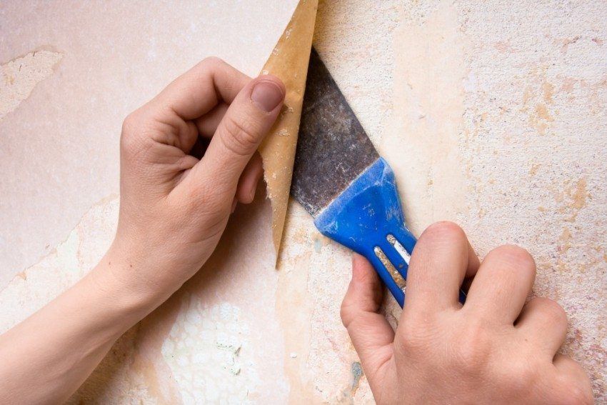How to glue vinyl wallpaper on a paper basis: useful tips for wall decoration