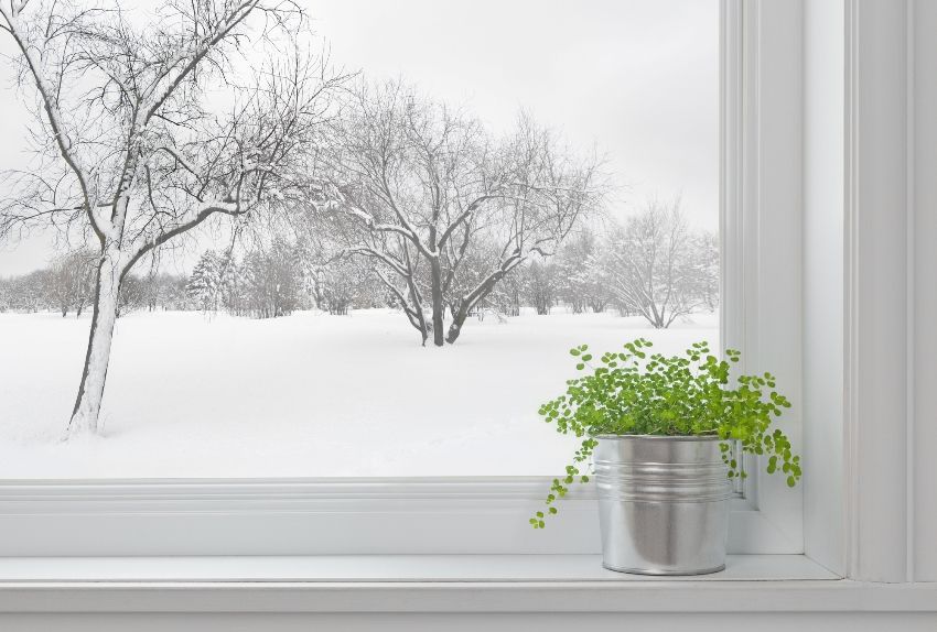 How to convert windows to winter mode without the help of a specialist