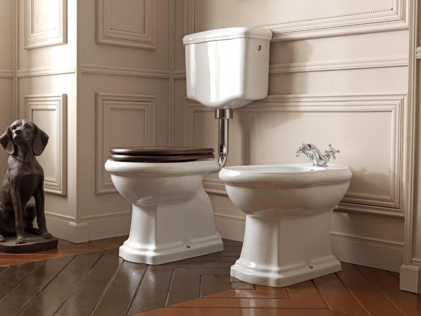 How to choose a toilet: the main criteria and features of various models