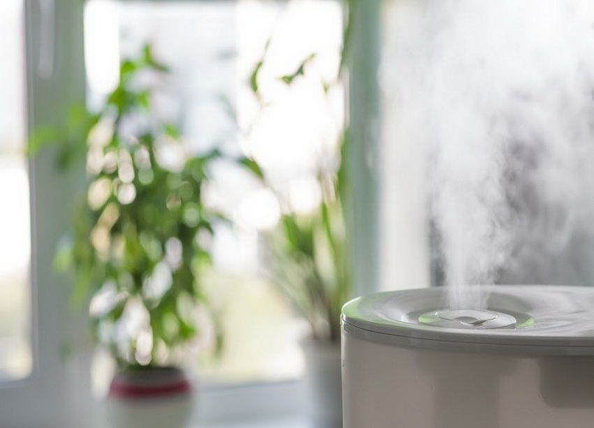 How to choose a humidifier for an apartment: useful tips and advice