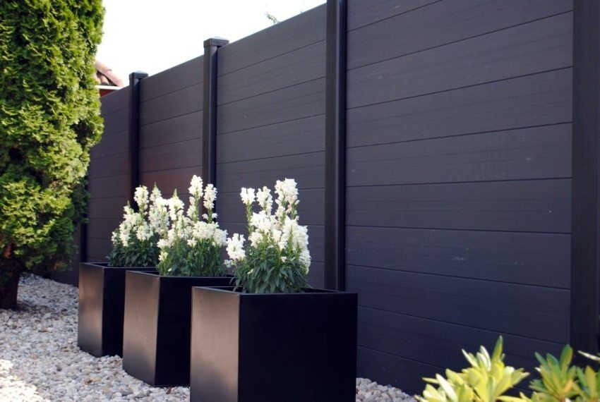 Beautiful fences for private houses: photos of interesting hedges