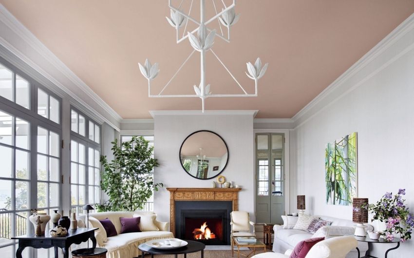 Ceiling paint: existing types and nuances of paint work
