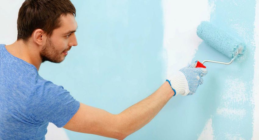 Paint for walls in the apartment: properties, types and recommendations for use