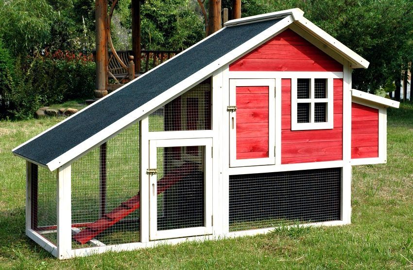 Do-it-yourself chicken coop for 10 chickens: drawings and construction features