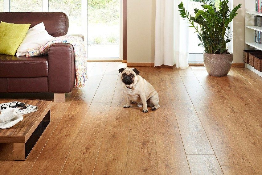 Laminate which company is better to choose for an apartment: consumer reviews and prices