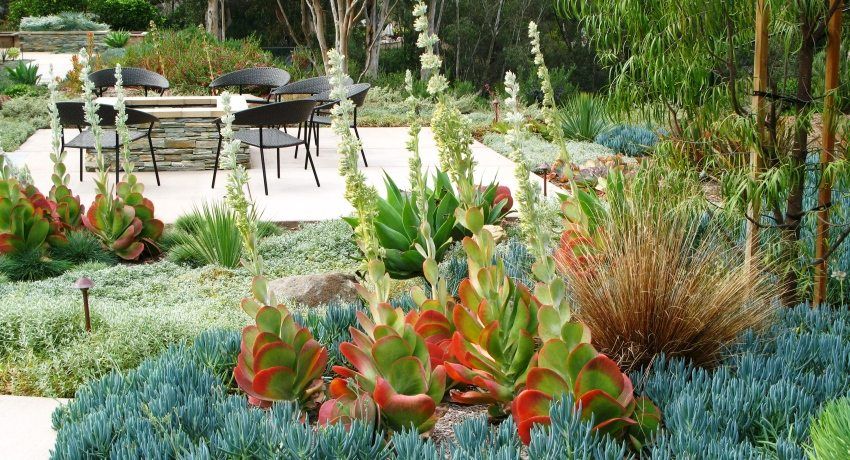 Landscape design of a small area: ways to expand space