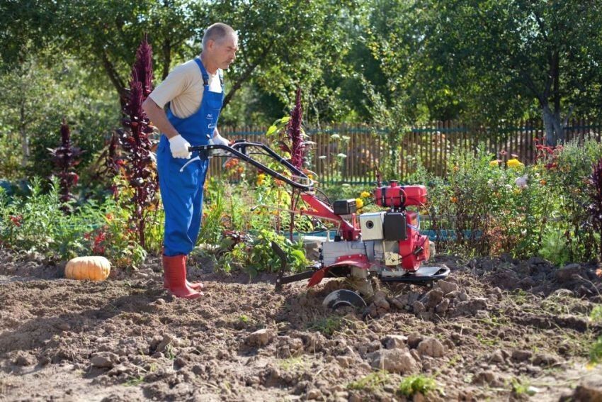 Easy gasoline cultivator: compact assistant at the dacha
