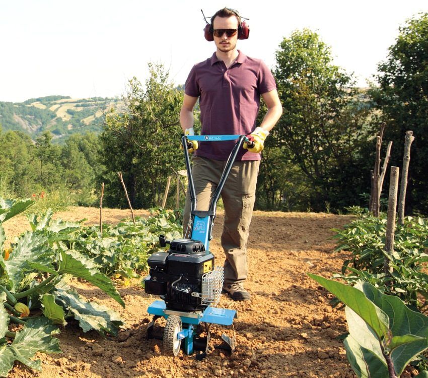 Easy gasoline cultivator: compact assistant at the dacha