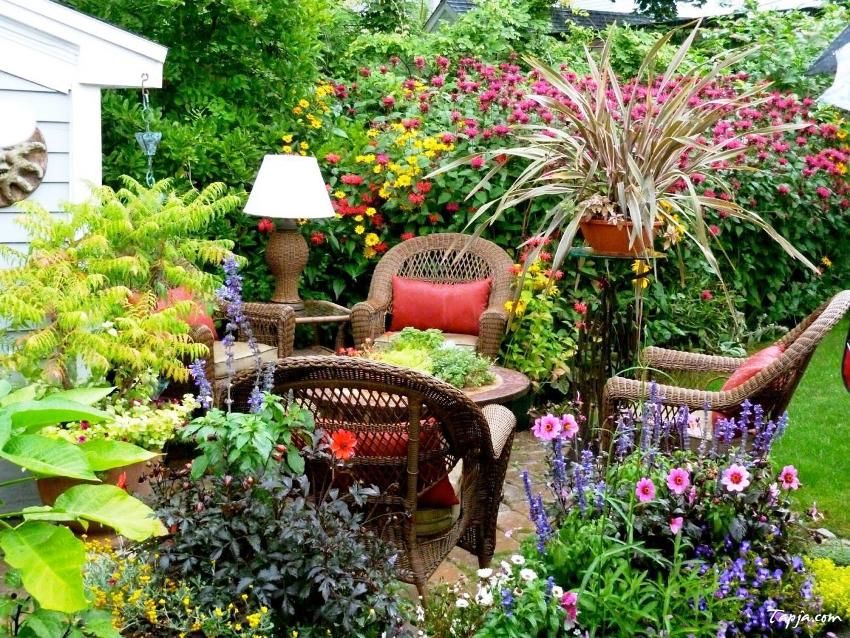 Front garden in front of the house: design ideas and do-it-yourself design