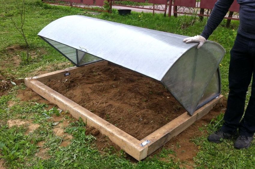 Greenhouse Breadbasket: functional design for growing vegetables
