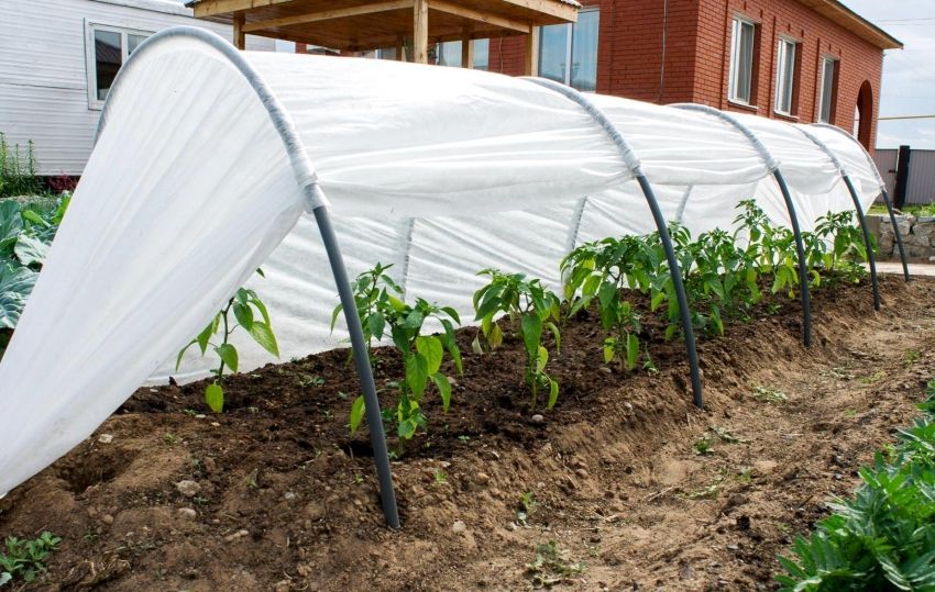 Greenhouse made of polypropylene pipes do it yourself: all the details of the construction