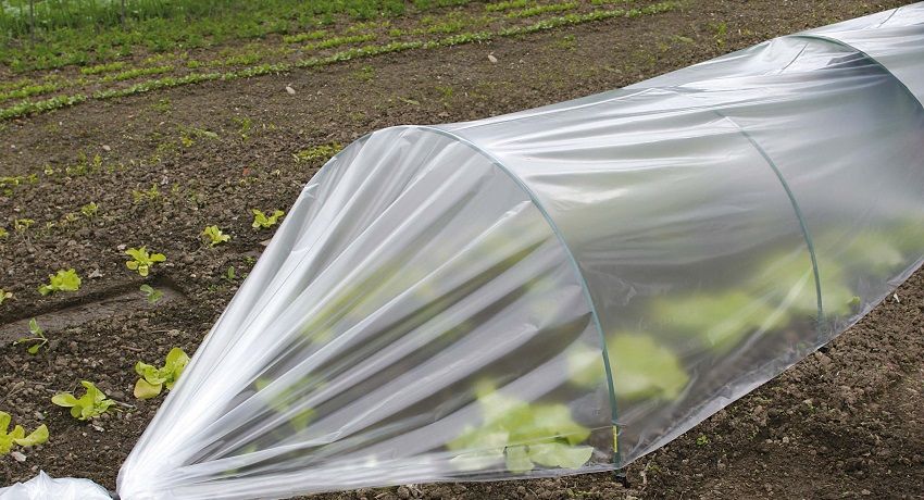 Greenhouses from arcs with covering material: an overview of the best models
