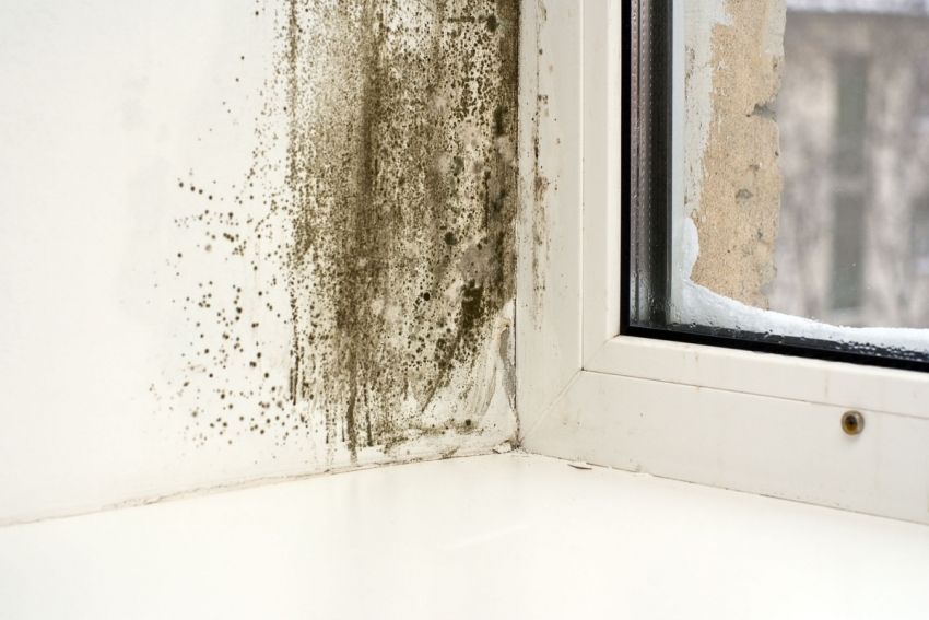 Why do plastic windows inside the apartment sweat: the causes and their elimination