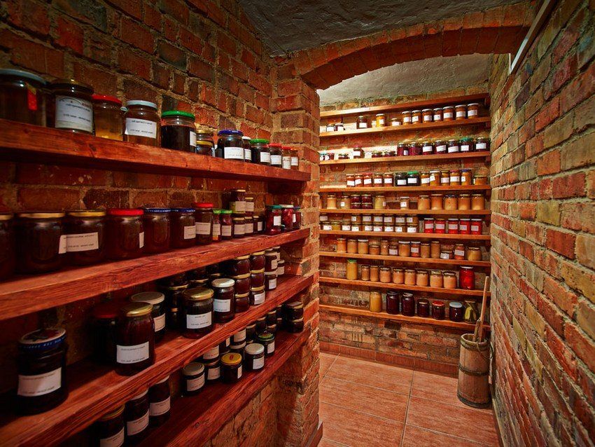 Cellar in the country with their own hands: a step-by-step guide to the arrangement