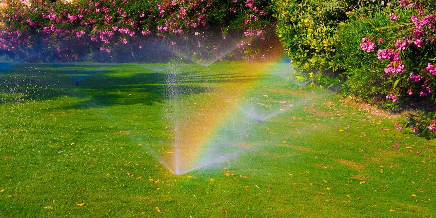 Irrigation system in the country: a variety of options for irrigating plants