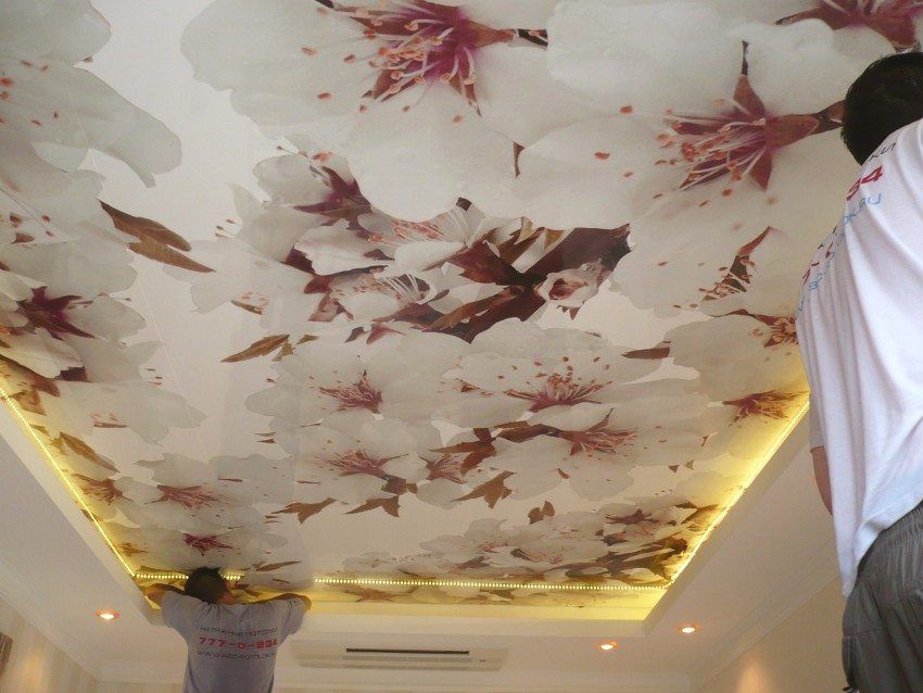 Stretch fabric ceilings. Pros and cons, photos of finished designs