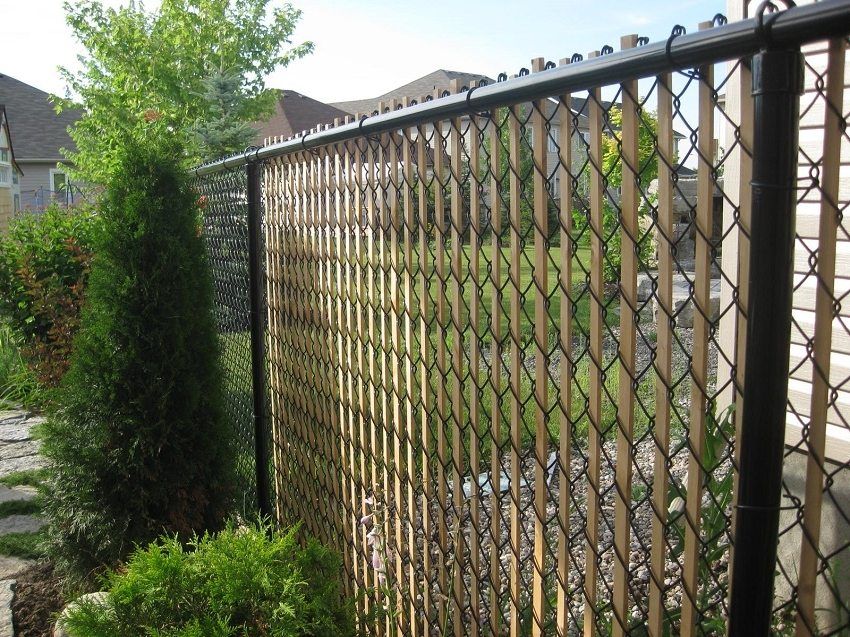 Fences from a grid giter, fences from a grid of the chain-link. Photos of good options